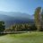 Fall Golf