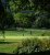 Bruises & Birdies Shootout